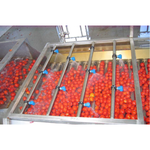 Línea de procesamiento de tomate automático